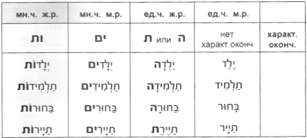 Род имен прилагательных