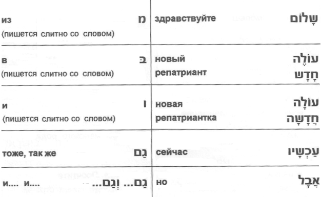 новые слова и выражения