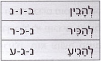 глаголы исключения